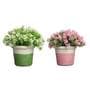 Plastic Skyla Multicolor With Pot Set Of 2 Artificial Plant