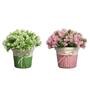 Plastic Skyla Multicolor With Pot Set Of 2 Artificial Plant
