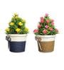 Plastic Della Multicolor With Pot Set Of 2 Artificial Plant