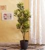 Polyester Skyla Multicolor Croton Without Pot Artificial Plant