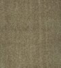 Multicolor Solid Polyester 5 ft x 7 ft Machine Made Carpet