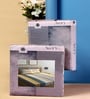 Multicolor Stripes 300 TC Cotton Blend Double King Sized Bedsheet With 2 Pillow Covers