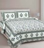 Green Traditional 180 TC 100% Cotton King Sized Bed Sheets with 2 Pillow Covers