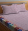 Multicolor Traditional 300 TC Cotton King Sized Bed Sheets with 2 Pillow Covers