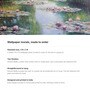 Reed Lily Reflection Vinyl Botanical Self Adhesive Wallpaper (3 ft X 3 ft)