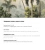 Serene Palm Lakeview Vinyl Botanical Self Adhesive Wallpaper (3 ft X 3 ft)