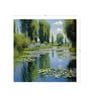 Violet Lily Pond Vinyl Botanical Self Adhesive Wallpaper (3 ft X 3 ft)