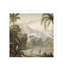 Misty Palm Grove Vinyl Botanical Self Adhesive Wallpaper (3 ft X 3 ft)