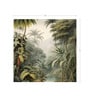 Rainforest Palm Wall Vinyl Botanical Self Adhesive Wallpaper (3 ft X 3 ft)