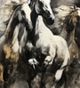 Galloping Stallions Duo Vinyl Decorative Self Adhesive Wallpaper (3 ft X 3 ft)