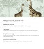 Safari Giraffe Duo Vinyl Decorative Self Adhesive Wallpaper (3 ft X 3 ft)
