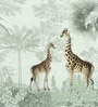 Safari Giraffe Duo Vinyl Decorative Self Adhesive Wallpaper (3 ft X 3 ft)