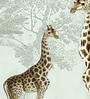 Safari Giraffe Duo Vinyl Decorative Self Adhesive Wallpaper (3 ft X 3 ft)