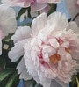 Charcoal Peony Bouquet Vinyl Decorative Self Adhesive Wallpaper (3 ft X 3 ft)