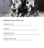 Monochrome Horse Mural Vinyl Decorative Self Adhesive Wallpaper (3 ft X 3 ft)