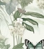Butterfly Blossom Sage Vinyl Floral Self Adhesive Wallpaper (3 ft X 3 ft)