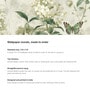 Cream Butterfly Blossom Vinyl Floral Self Adhesive Wallpaper (3 ft X 3 ft)