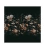 Midnight Floral Bouquet Vinyl Floral Self Adhesive Wallpaper (3 ft X 3 ft)