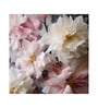 Soft Pink Peony Cluster Vinyl Floral Self Adhesive Wallpaper (3 ft X 3 ft)