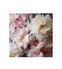 Soft Pink Peony Cluster Vinyl Floral Self Adhesive Wallpaper (3 ft X 3 ft)