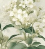 Cream Butterfly Blossom Vinyl Floral Self Adhesive Wallpaper (3 ft X 3 ft)