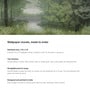 Forest Canopy View Vinyl Landscape Self Adhesive Wallpaper (3 ft X 3 ft)