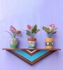Multicolor Wooden Triangular Planter Stand