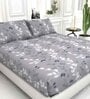 Abstract 210 TC Microfiber 1 Bedsheet,  2 Pillow Covers Cider King Collection