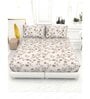 Abstract 210 TC Microfiber 1 Bedsheet,  2 Pillow Covers Cider King Collection