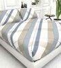 Abstract 210 TC Microfiber 1 Bedsheet,  2 Pillow Covers Cider Queen Collection