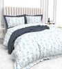 Abstract 350 TC Microfiber 1 Bedsheet,  2 Pillow Covers Tussan Summer Collection