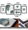 The Highest Fine Multicolour Canvas Framed Floral Art Print Set of 5