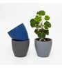 Multicolour Clay Eco-Friendly Desk Planter (Set of 3)