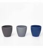 Multicolour Clay Eco-Friendly Desk Planter (Set of 3)