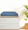 Multicolour Cotton Striped 220 GSM Bath Towels 2 Pc