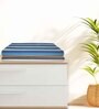 Multicolour Cotton Striped 220 GSM Bath Towels 2 Pc