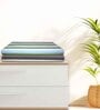 Multicolour Cotton Striped 220 GSM Bath Towels 2 Pc