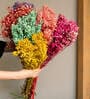 Multicolour Dried Flowers 50 To 60 Stems