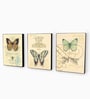 Multicolour Engineered Wood (Set of 3) Art Prints