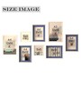 Multicolour Engineered Wood  (Set of 8) Art Panels