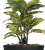 Fabric Multicolour Croton Daisy In A Ceramic Pot Artificial Plant