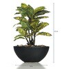 Fabric Multicolour Croton Daisy In A Ceramic Pot Artificial Plant
