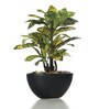 Fabric Multicolour Croton Daisy In A Ceramic Pot Artificial Plant