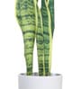 Multicolour Fabric Artificial Sansevieria Snake Plant with Pot