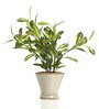 Fabric Multicolour Schefflera With Ceramic Pot Artificial Plants