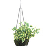 Multicolour Fabric English Ivy Artificial Plant in Hanging Iron ware Basket