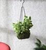 Multicolour Fabric English Ivy Artificial Plant in Hanging Iron ware Basket