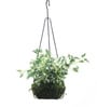 Multicolour Fabric English Ivy Artificial Plant in Hanging Iron ware Basket