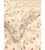 Floral 210 TC Microfiber 1 Bedsheet,  2 Pillow Covers Cider Queen Collection