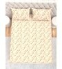 Floral 210 TC Microfiber 1 Bedsheet,  2 Pillow Covers Cider Queen Collection